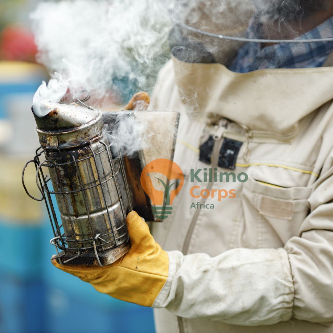 Bee Smoker