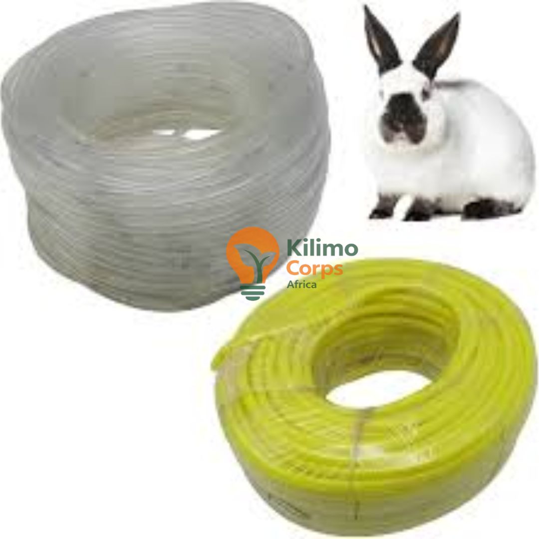 Pipe Roll
