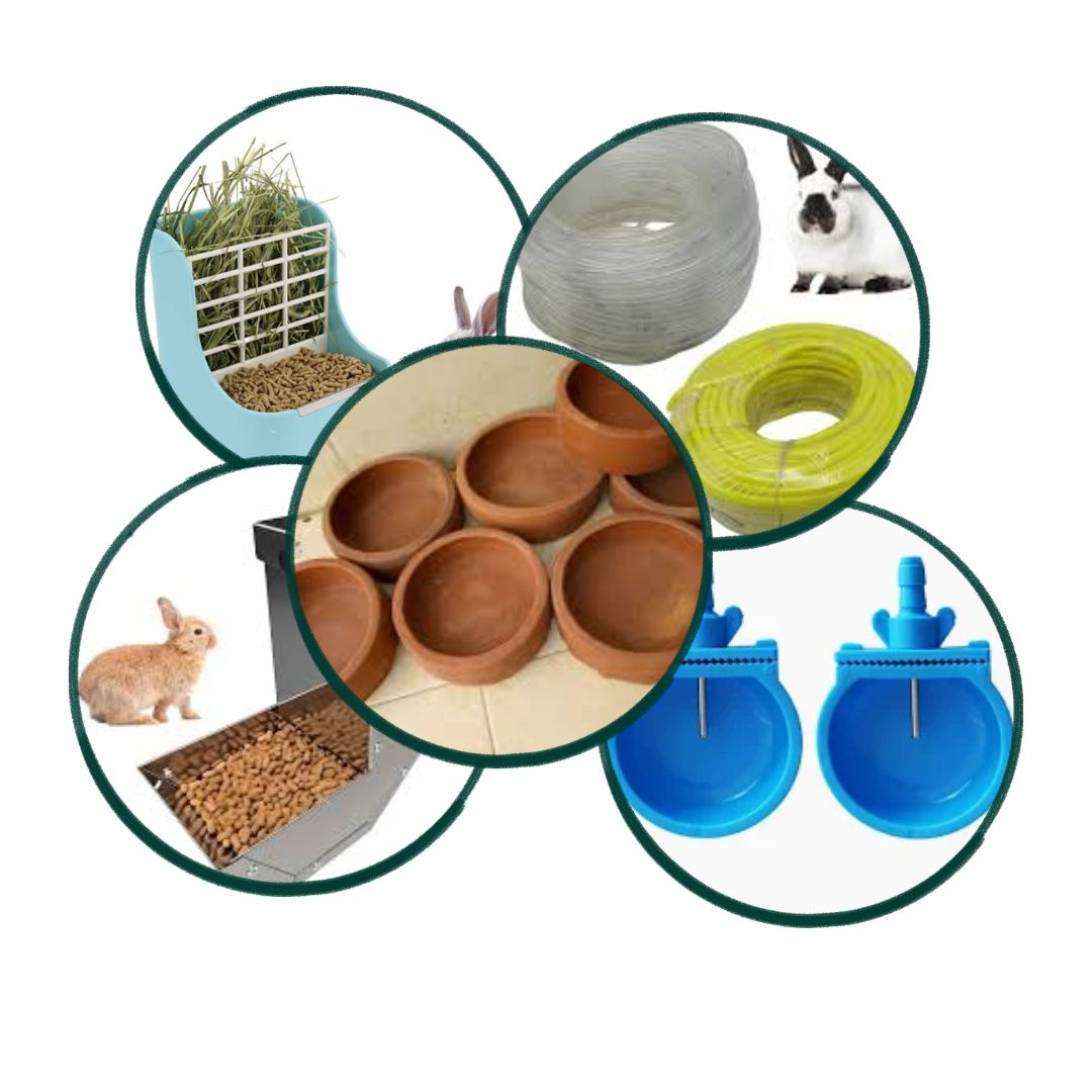 Rabbit Accessories Bundle