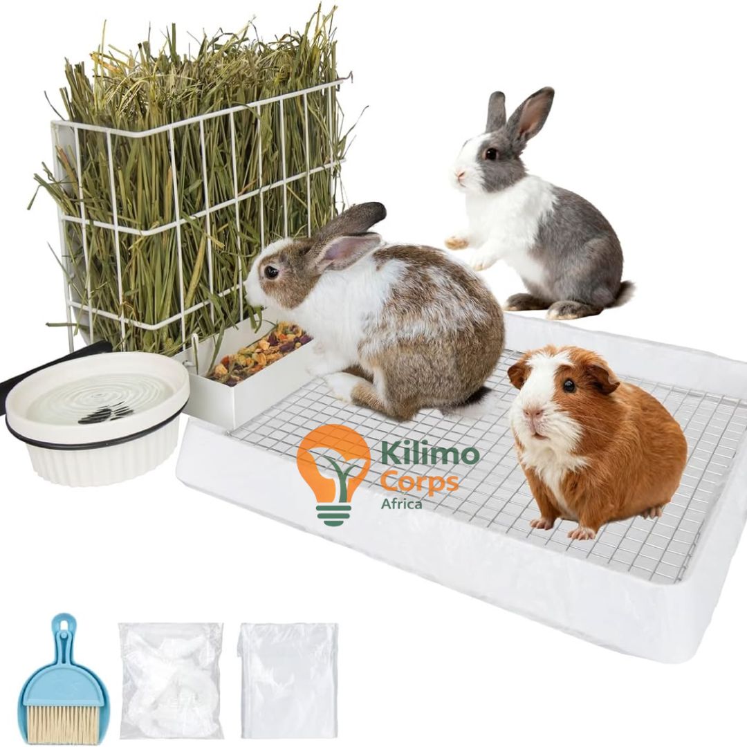 Rabbit Starter Kit