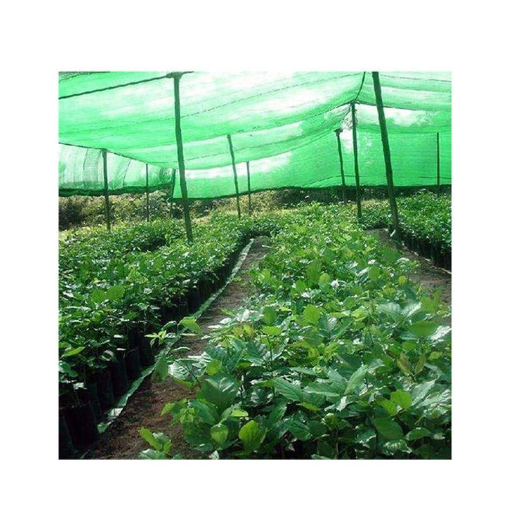 Shade Net