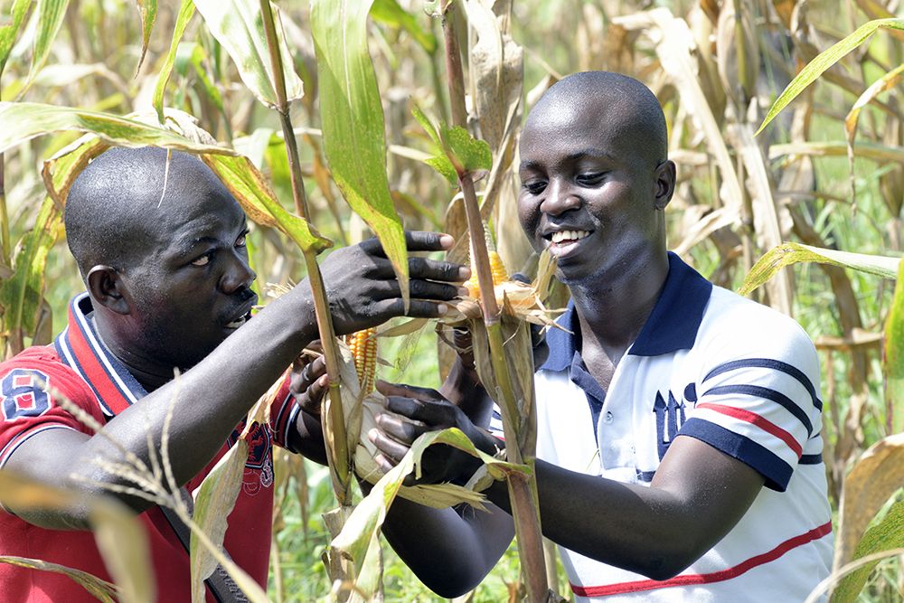 Africa agriculture future and emerging leadership