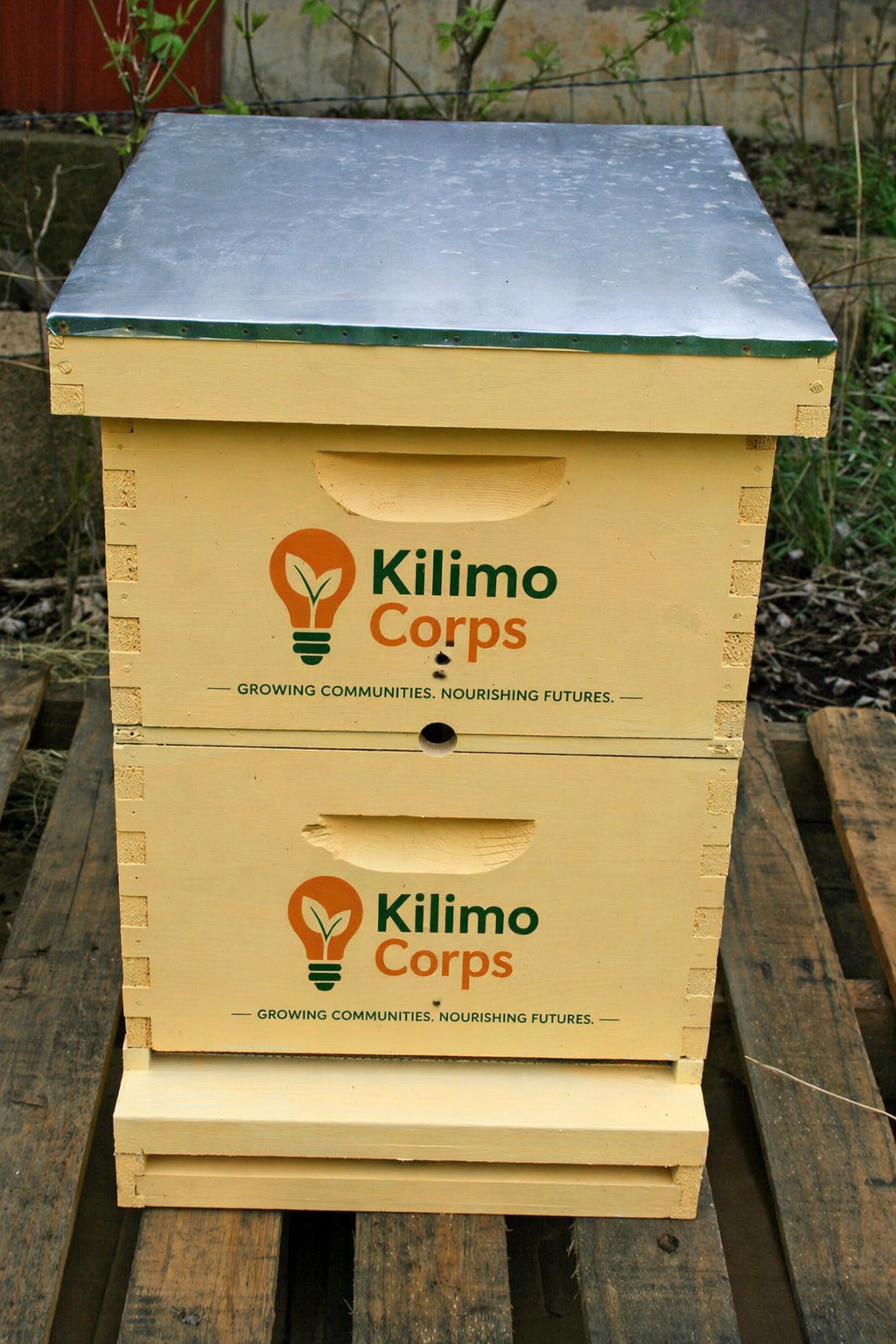 Beekeeping systems