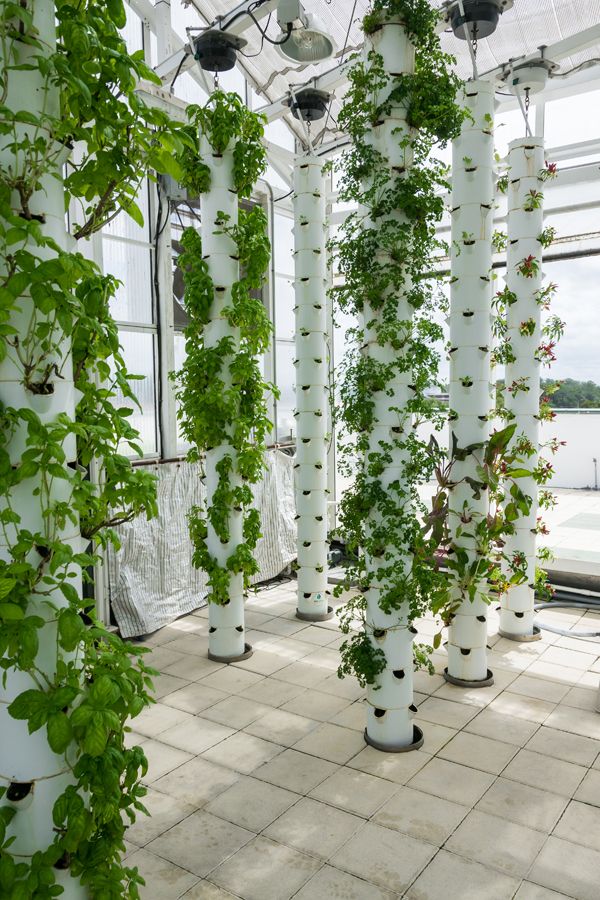 Greenhouse farming