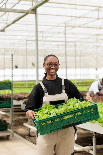 Innovation and practical solution-building in agriculture