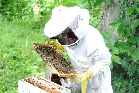 Approach to impact through leadership and practical transformation