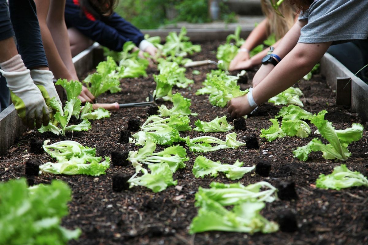 Equipping leaders through training and learning