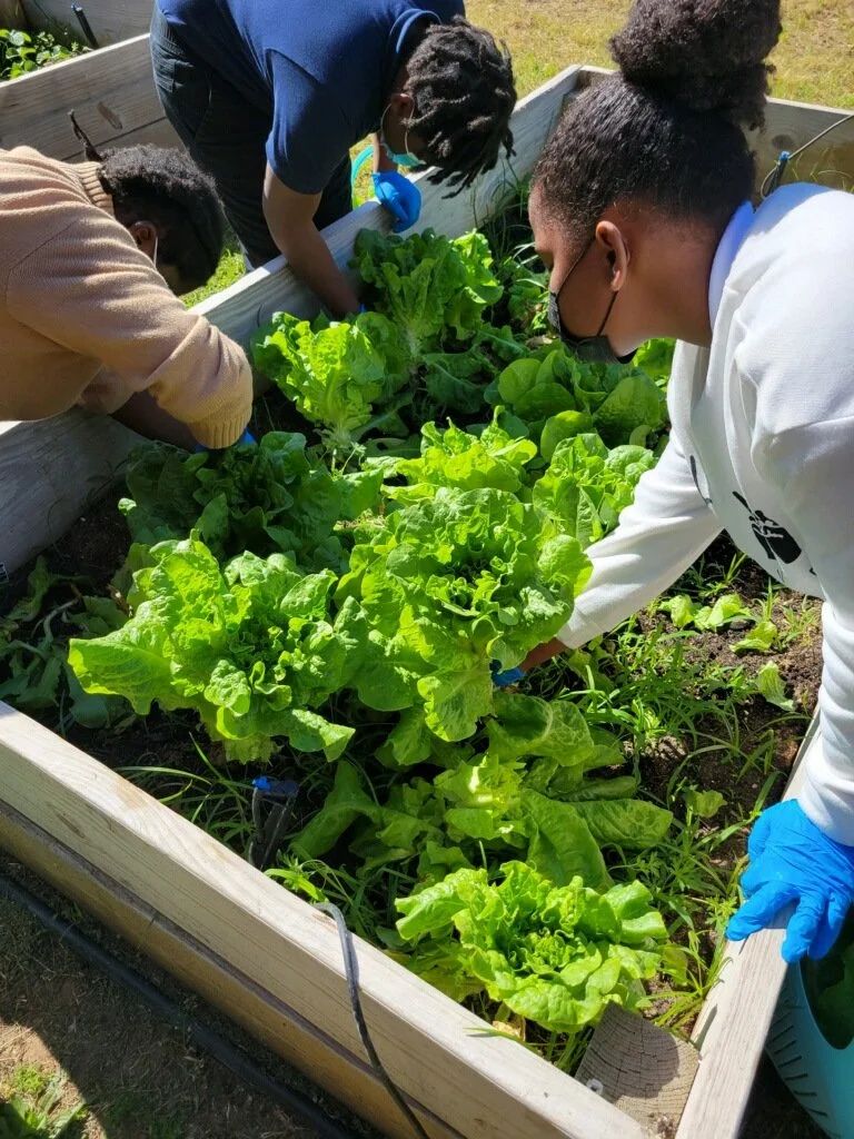 Identifying emerging African leaders