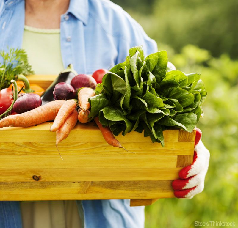 Multiplying impact through networks and institutions