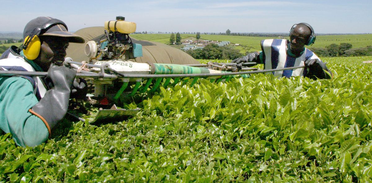 Pathways from learning to deployment to long-term opportunity