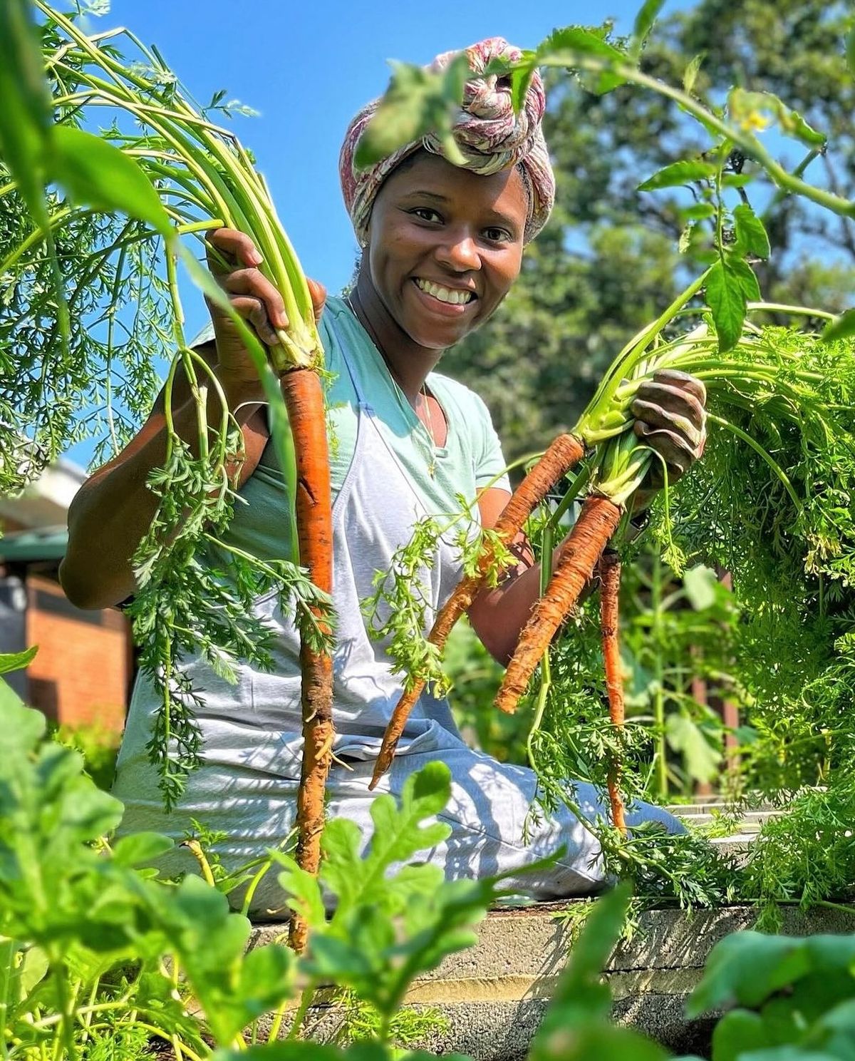 Policy dialogue and institutional learning session