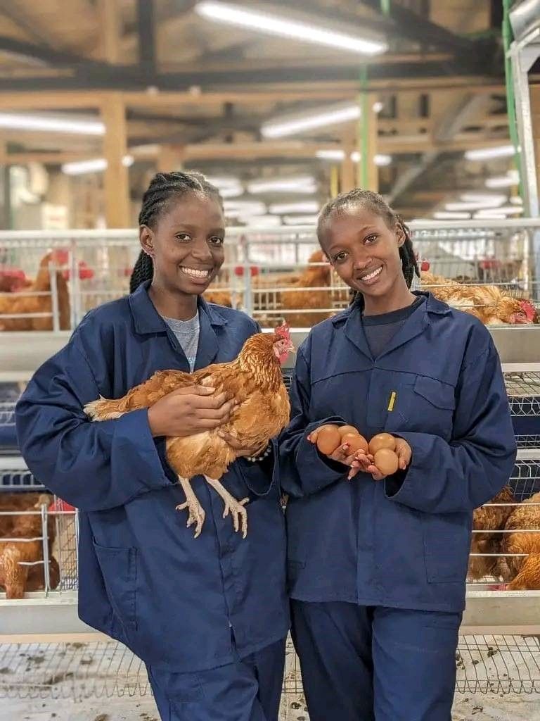 Agricultural innovation and enterprise work